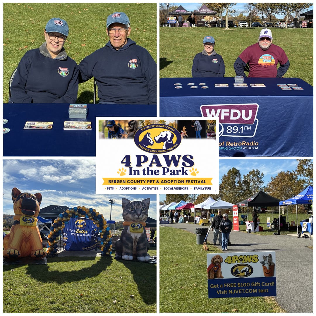 4 Paws in the Park