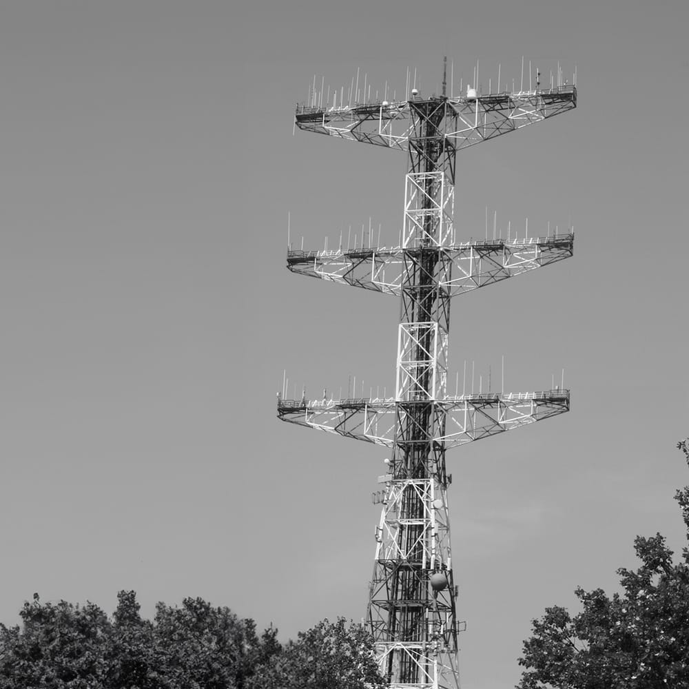 Wfdu